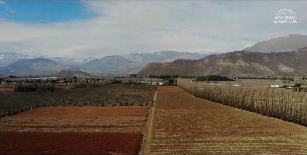 Vista aérea de Hacienda el Guindal